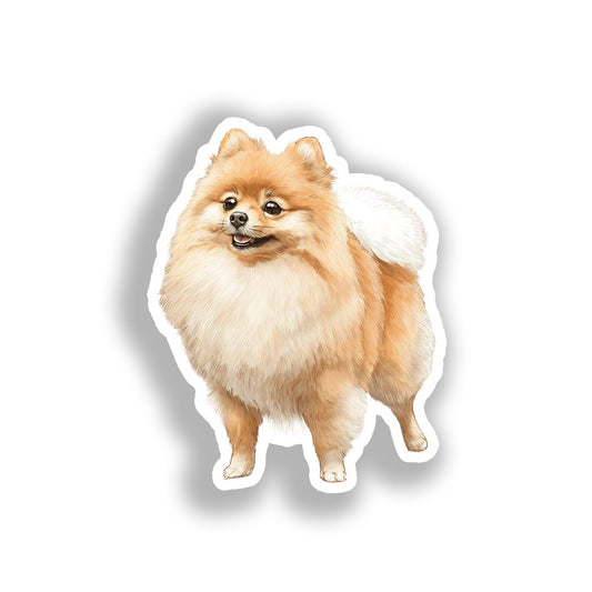 Pomeranian Dog Vinyl Decal Sticker for Car, Laptop, Tumbler and more # A017471-4" x 4"