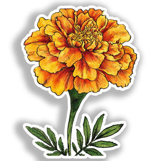 Marigold Flower Vinyl Decal Sticker for Car, Laptop, Tumbler and more # A019373-4" x 4"