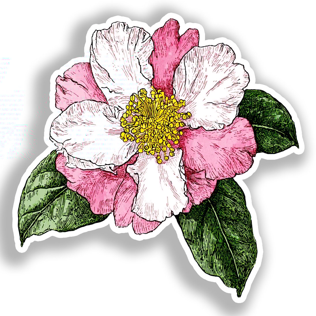 Camellia Flower Vinyl Decal Sticker for Car, Laptop, Tumbler and more # A018871-4" x 4"