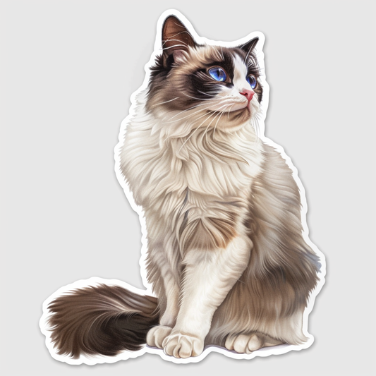Ragdoll cat Vinyl Decal Sticker for Car, Laptop, Tumbler and more # F07812
