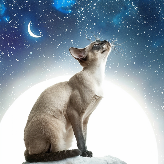 Adorable Cornish Rex Cat Expressive surreal Vinyl Decal Sticker for Car, Laptop, Tumbler and more # F021527-4" x 4"