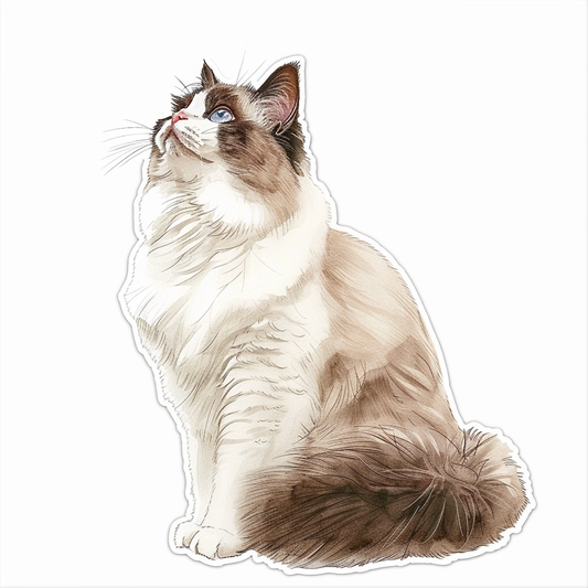 Ragdoll Cat Vinyl Decal Sticker for Car, Laptop, Tumbler and more # F010202