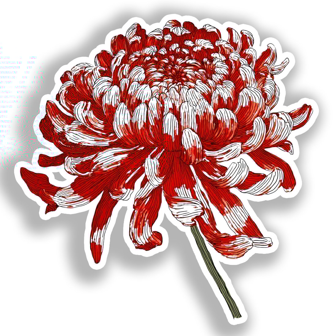 Chrysanthemum Flower Vinyl Decal Sticker for Car, Laptop, Tumbler and more # A018865-4" x 4"