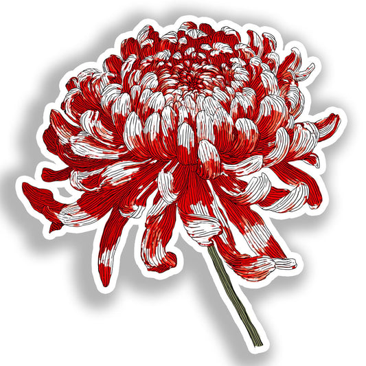 Chrysanthemum Flower Vinyl Decal Sticker for Car, Laptop, Tumbler and more # A018865-4" x 4"
