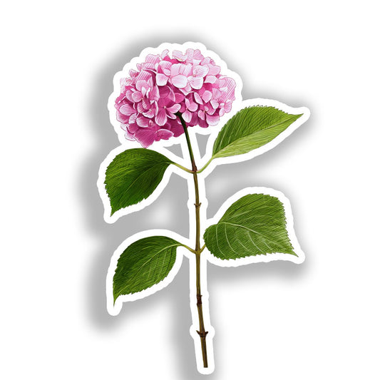 Hydragea Flower Vinyl Decal Sticker for Car, Laptop, Tumbler and more # A019507-4" x 4"