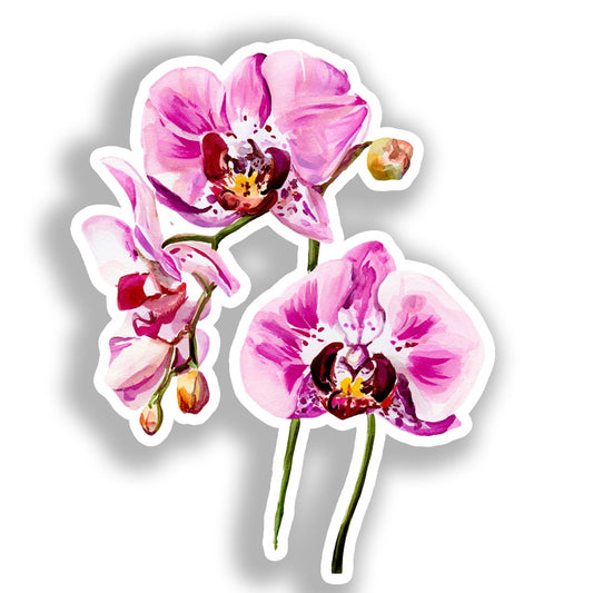Orchid Flower Vinyl Decal Sticker for Car, Laptop, Tumbler and more # A019319-4" x 4"