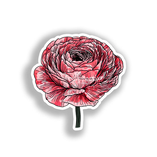 Ranunculus Flower Vinyl Decal Sticker for Car, Laptop, Tumbler and more # A019264-4" x 4"