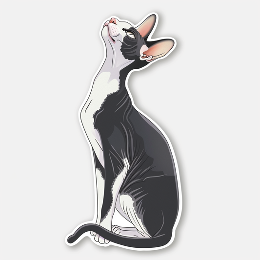 Scottish Fold cat Vinyl Decal Sticker for Car, Laptop, Tumbler and more # F07923