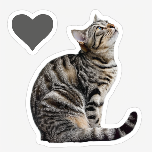 American Shorthair Cat majestic Expressive surreal Vinyl Decal Sticker for Car, Laptop, Tumbler and more # F018855