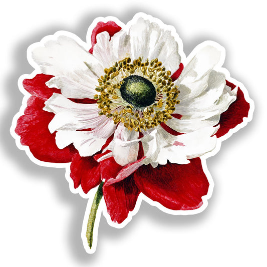 Anemone Flower Vinyl Decal Sticker for Car, Laptop, Tumbler and more # A018741-4" x 4"