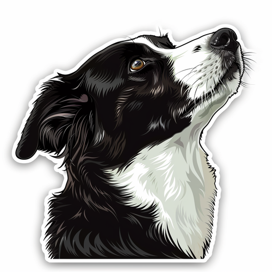 Border Collie Dog majestic Expressive surreal Vinyl Decal Sticker for Car, Laptop, Tumbler and more # F021724-4" x 4"