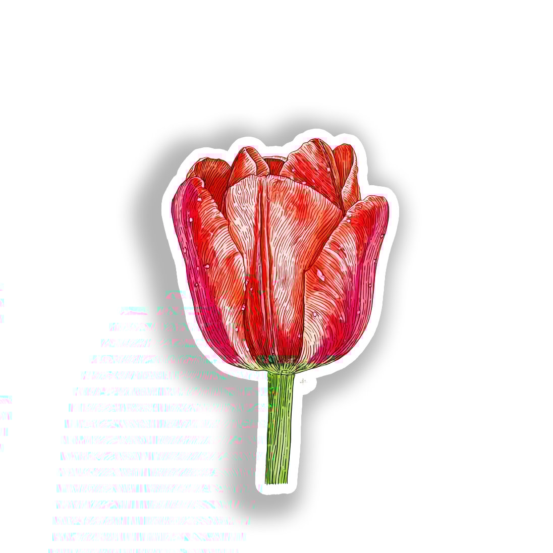 Tulip Flower Vinyl Decal Sticker for Car, Laptop, Tumbler and more # A019107-4" x 4"