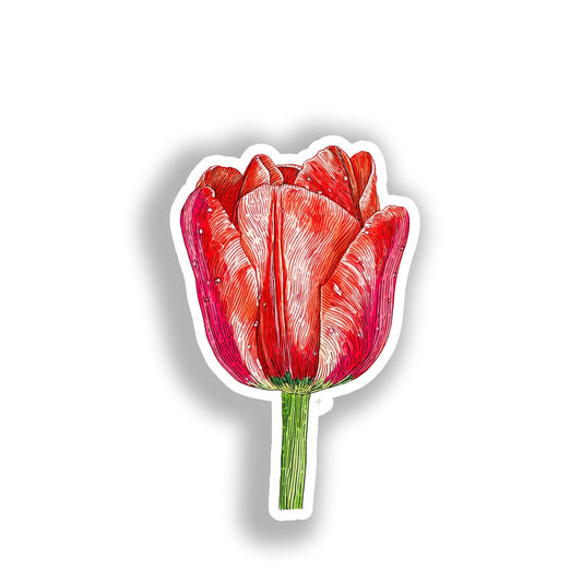 Tulip Flower Vinyl Decal Sticker for Car, Laptop, Tumbler and more # A019107-4" x 4"