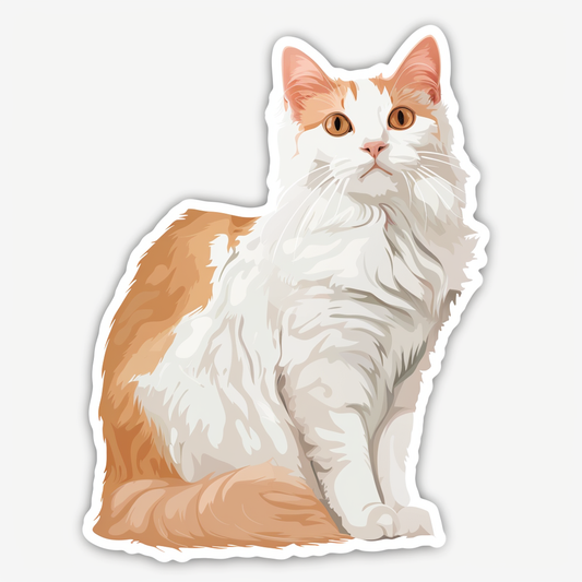 Adorable Turkish Angora Cat  Vinyl Decal Sticker for Car, Laptop, Tumbler and more # F020920-4" x 4"