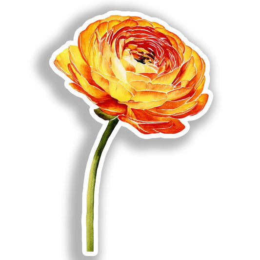 Ranunculus Flower Vinyl Decal Sticker for Car, Laptop, Tumbler and more # A019268-4" x 4"