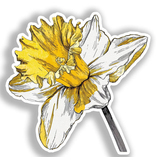 Daffodil Flower Vinyl Decal Sticker for Car, Laptop, Tumbler and more # A019730-4" x 4"