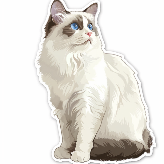 Ragdoll Cat Vinyl Decal Sticker for Car, Laptop, Tumbler and more # F08018