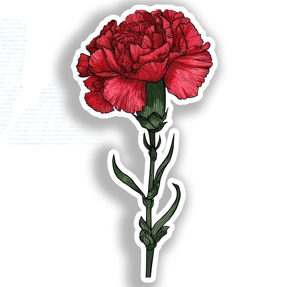 Carnation Flower Vinyl Decal Sticker for Car, Laptop, Tumbler and more # A018885-4" x 4"