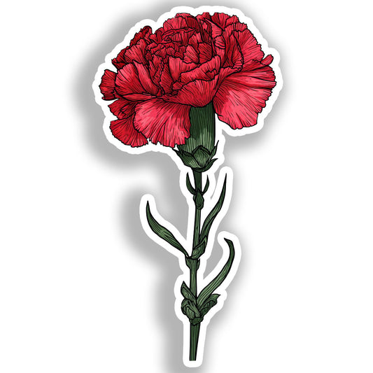 Carnation Flower Vinyl Decal Sticker for Car, Laptop, Tumbler and more # A018885-4" x 4"