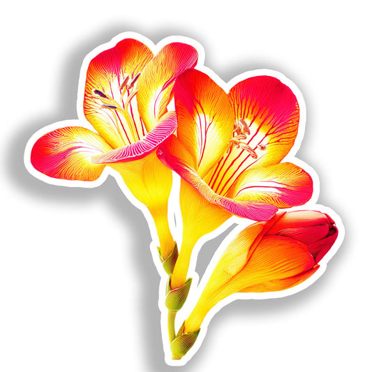Freesia Flower Vinyl Decal Sticker for Car, Laptop, Tumbler and more # A019638-4" x 4"