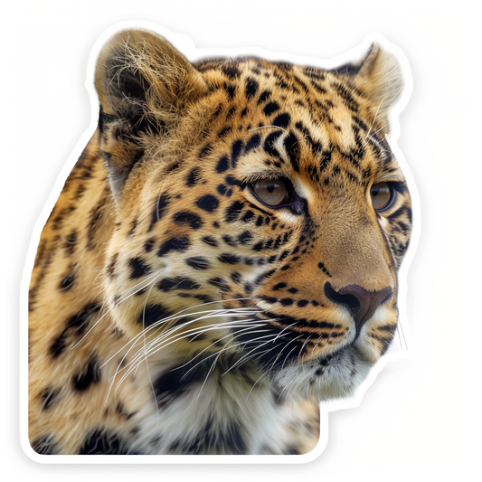Leopard majestic Expressive surreal Vinyl Decal Sticker for Car, Laptop, Tumbler and more # F022594