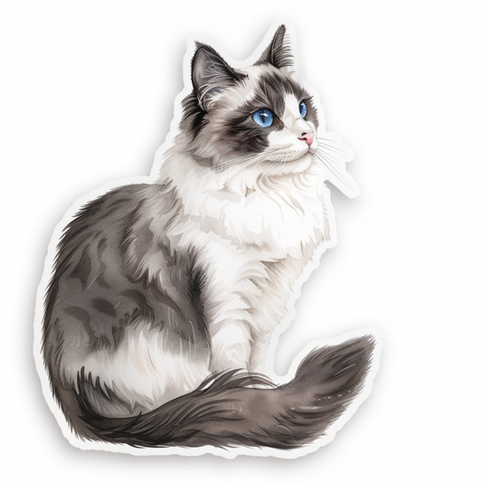 Ragdoll Cat Vinyl Decal Sticker for Car, Laptop, Tumbler and more # F010196