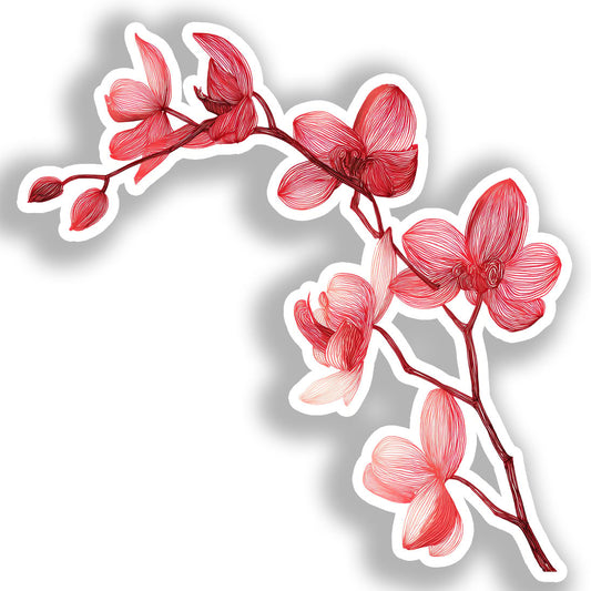 Orchid Flower Vinyl Decal Sticker for Car, Laptop, Tumbler and more # A019305-4" x 4"