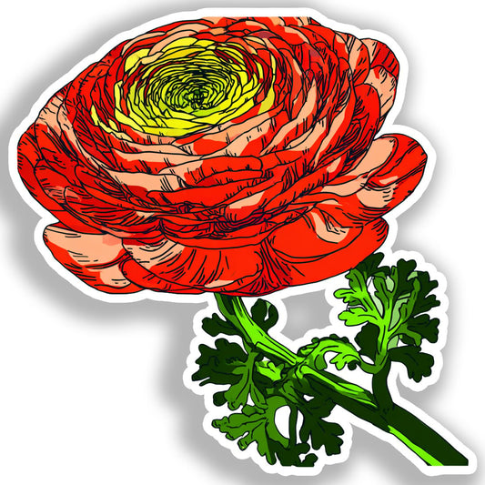 Ranunculus Flower Vinyl Decal Sticker for Car, Laptop, Tumbler and more # A019234-4" x 4"