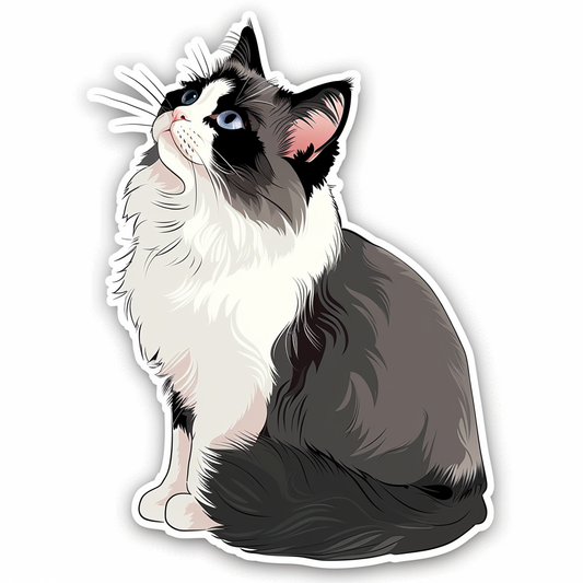 Ragdoll cat Vinyl Decal Sticker for Car, Laptop, Tumbler and more # F07583