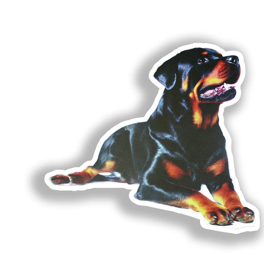 Rottweiler Dog Vinyl Decal Sticker for Car, Laptop, Tumbler and more # A018019-4" x 4"