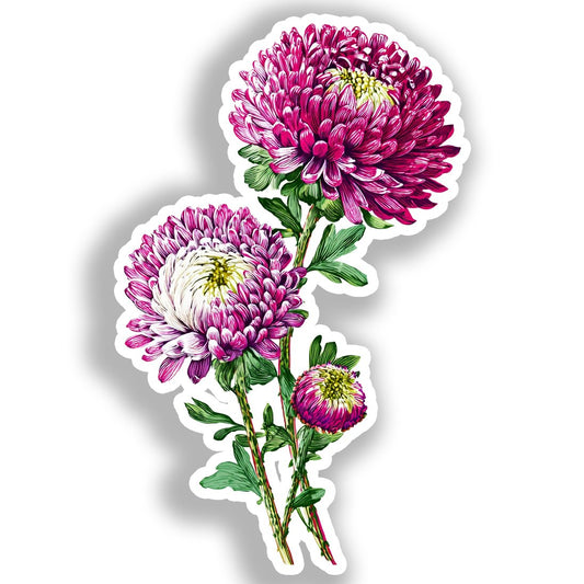 Aster Flower Vinyl Decal Sticker for Car, Laptop, Tumbler and more # A018740-4" x 4"