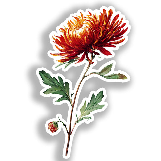 Aster Flower Vinyl Decal Sticker for Car, Laptop, Tumbler and more # A018749-4" x 4"