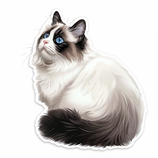 Ragdoll Cat Vinyl Decal Sticker for Car, Laptop, Tumbler and more # F08005