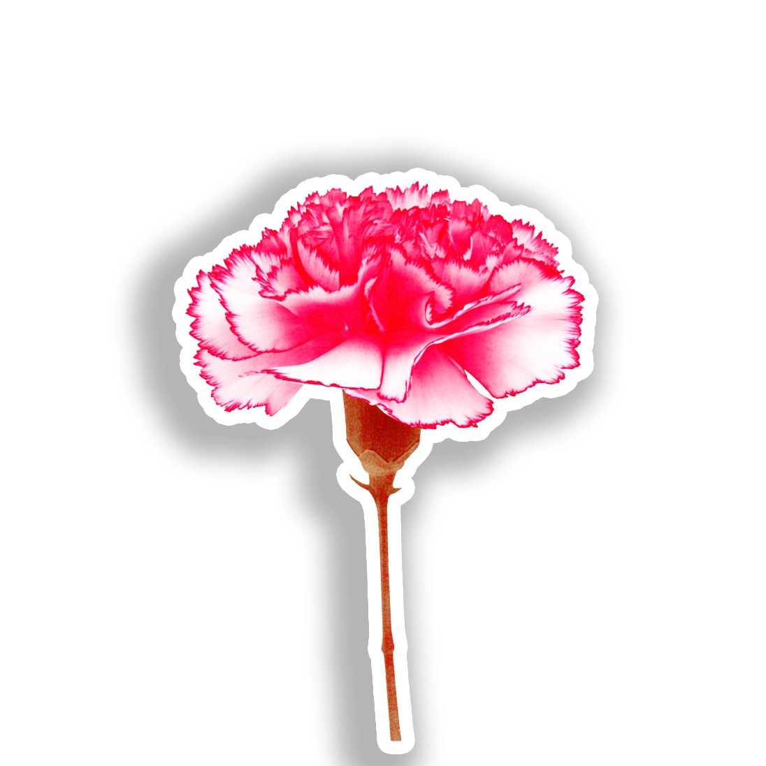Carnation Flower Vinyl Decal Sticker for Car, Laptop, Tumbler and more # A018890-4" x 4"