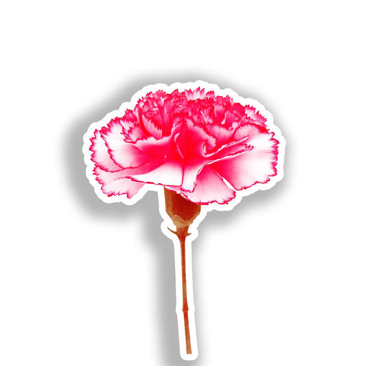 Carnation Flower Vinyl Decal Sticker for Car, Laptop, Tumbler and more # A018890-4" x 4"