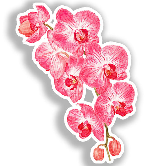 Orchid Flower Vinyl Decal Sticker for Car, Laptop, Tumbler and more # A019286-4" x 4"