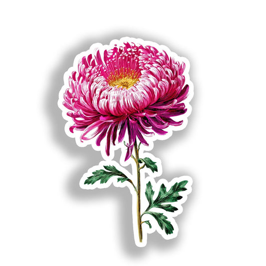 Aster Flower Vinyl Decal Sticker for Car, Laptop, Tumbler and more # A018747-4" x 4"