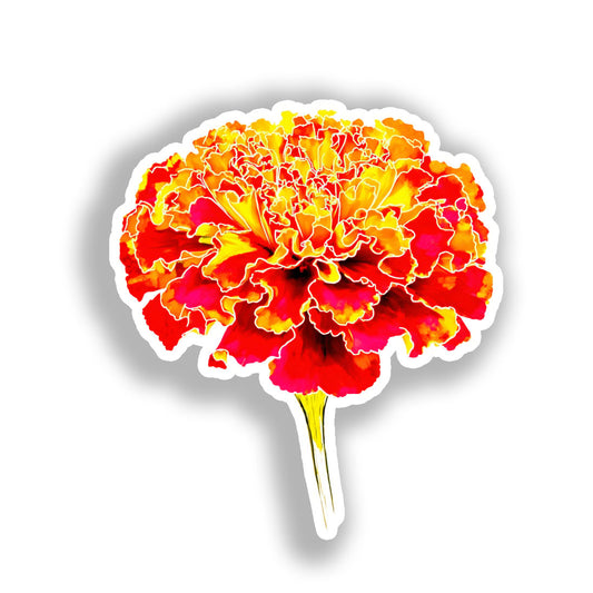 Marigold Flower Vinyl Decal Sticker for Car, Laptop, Tumbler and more # A019415-4" x 4"