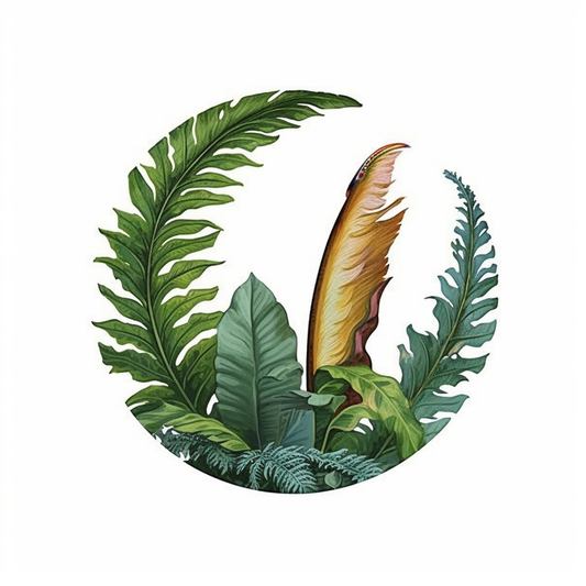 Bird's Nest Fern Plant Vinyl Decal Sticker for Car, Laptop, Tumbler and more # 0010350