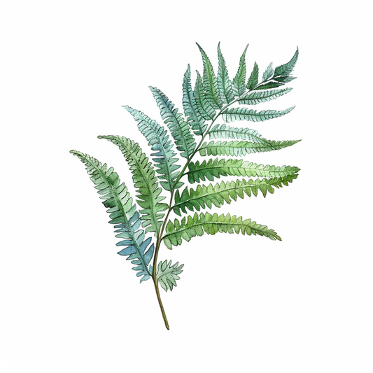 Boston Fern Plant Vinyl Decal Sticker for Car, Laptop, Tumbler and more # 0010522