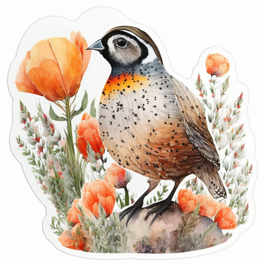 California Quail bird Poppy flower  Vinyl Decal Sticker for Car, Laptop, Tumbler and more # 008293