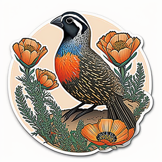 California Quail bird Poppy flower  Vinyl Decal Sticker for Car, Laptop, Tumbler and more # 008317