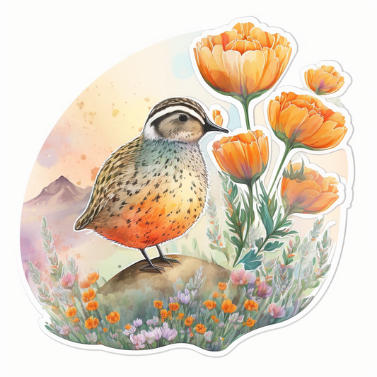 California Quail bird Poppy flower  Vinyl Decal Sticker for Car, Laptop, Tumbler and more # 008285