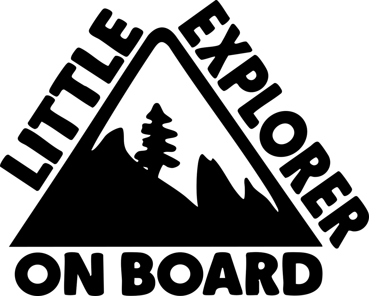 W16 original Little Explorer on Board