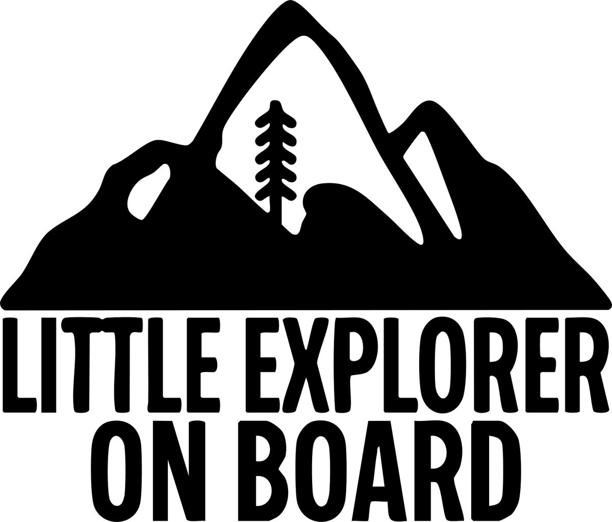 W17 original Little Explorer on Board