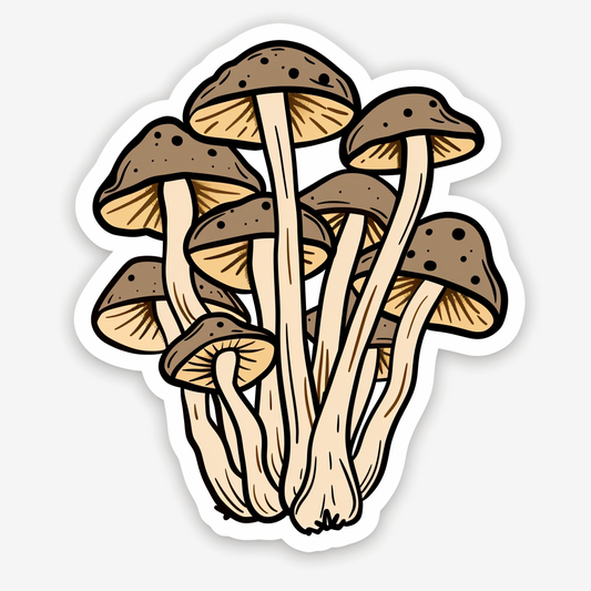 Mushrooms Vinyl Decal Sticker for Car, Laptop, Tumbler and more # F06975