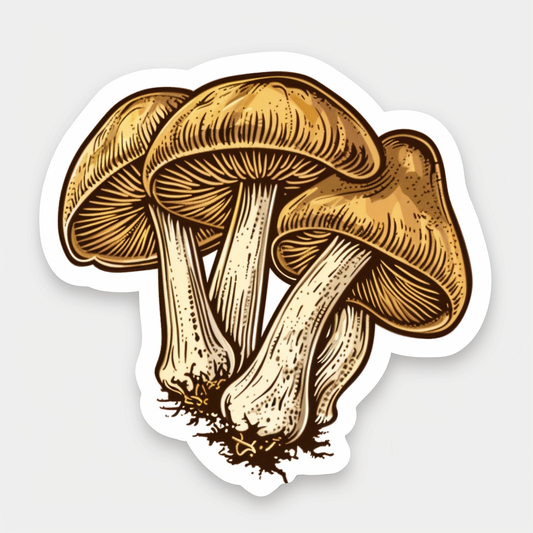 Mushrooms Vinyl Decal Sticker for Car, Laptop, Tumbler and more # F06911