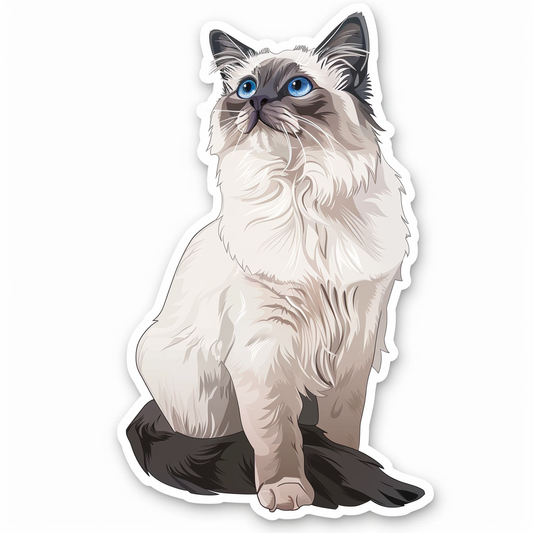 Ragdoll Cat Vinyl Decal Sticker for Car, Laptop, Tumbler and more # F06679