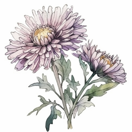 Aster Flower Vinyl Decal Sticker for Car, Laptop, Tumbler and more # 006320