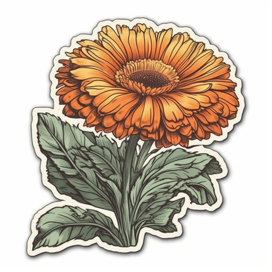 Calendula Flower Vinyl Decal Sticker for Car, Laptop, Tumbler and more # 006367